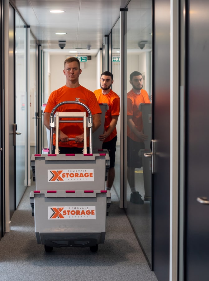 removals and storage experts